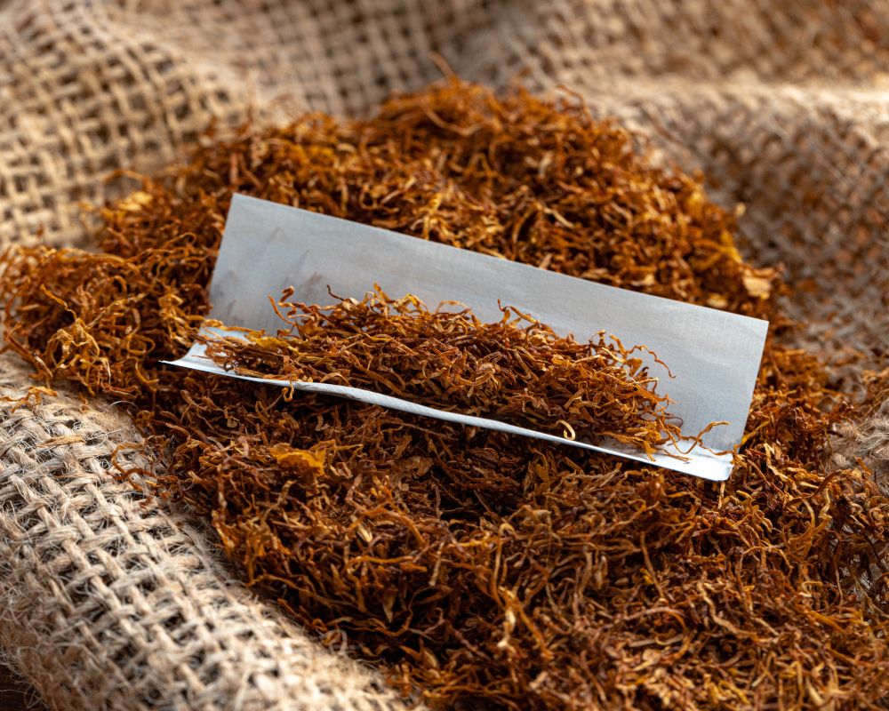Montón de tabaco con un papel de liar para un cigarro.